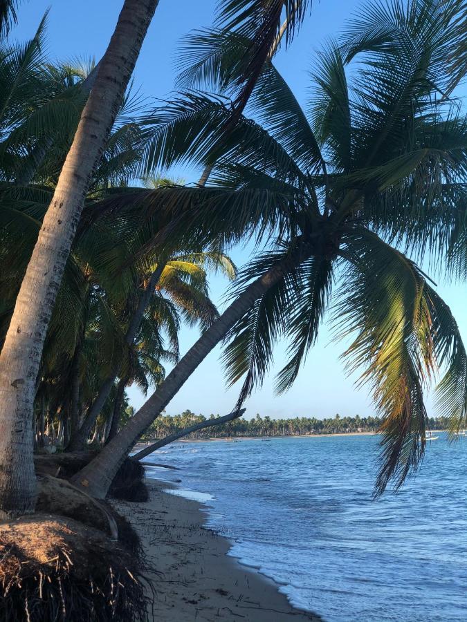 Le Petit Suites Praia De Lages Pôrto de Pedras Zewnętrze zdjęcie