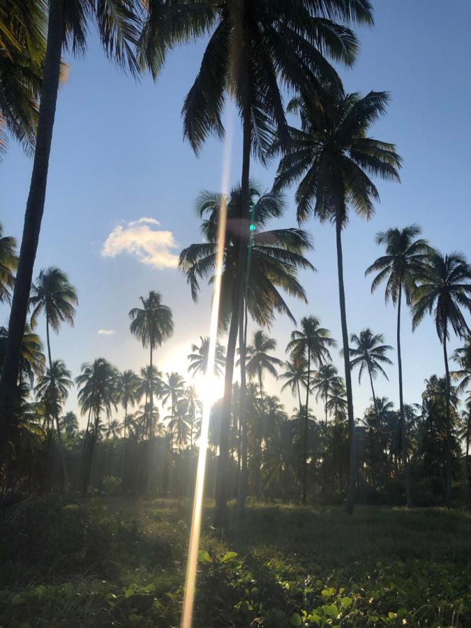 Le Petit Suites Praia De Lages Pôrto de Pedras Zewnętrze zdjęcie